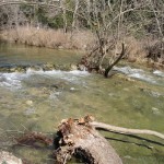 10 - Small Rapids - Barton Creek