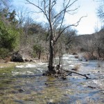 11 - Reeds before Twin Falls - Rapids - Barton Creek