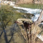 3 - Small Falls - Barton Creek
