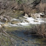 4 - Small Falls - Barton Creek